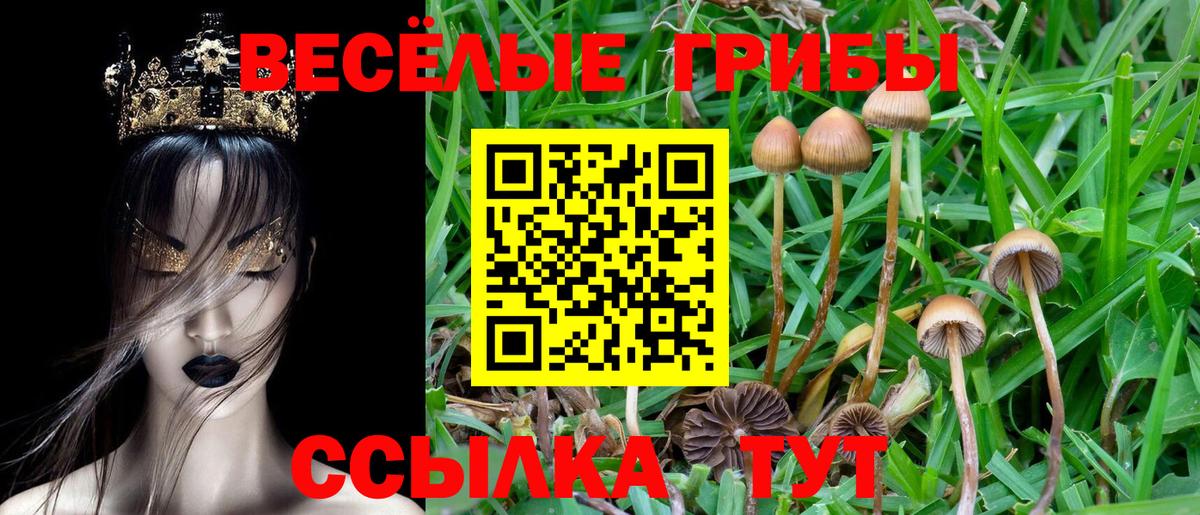 Галлюциногенные грибы GOLDEN TEACHER Сосновый Бор