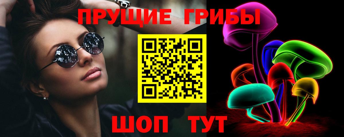 Сосновый Бор  Псилоцибиновые грибы Psilocybine cubensis  Вход с VPN 